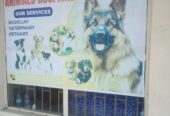ANIMALS HOSPITAL