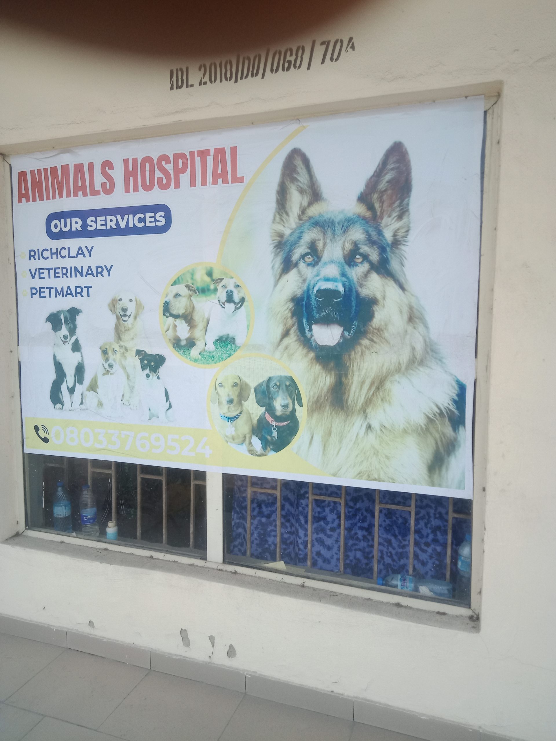 ANIMALS HOSPITAL